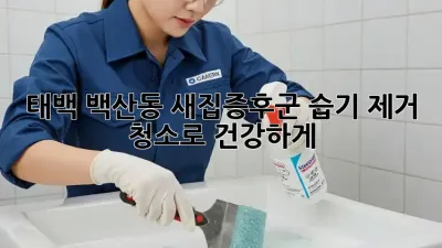 태백 백산동 새집증후군? 습기 제거 청소로 건강하게!