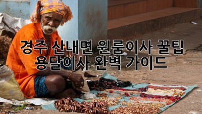 경주 산내면 원룸이사 꿀팁🍯 용달이사 완벽 가이드✨